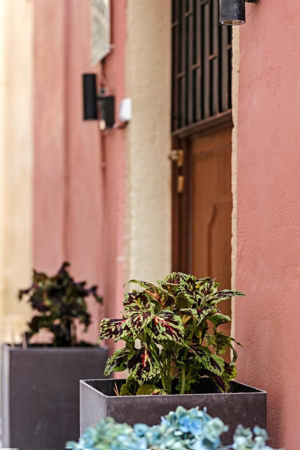 דירות Corfu  Spitaki @Old Town Corfu! מראה חיצוני תמונה